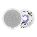 Haut-parleur de plafond 6,5" 6 W